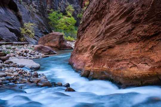 耀世娱乐 技术平台